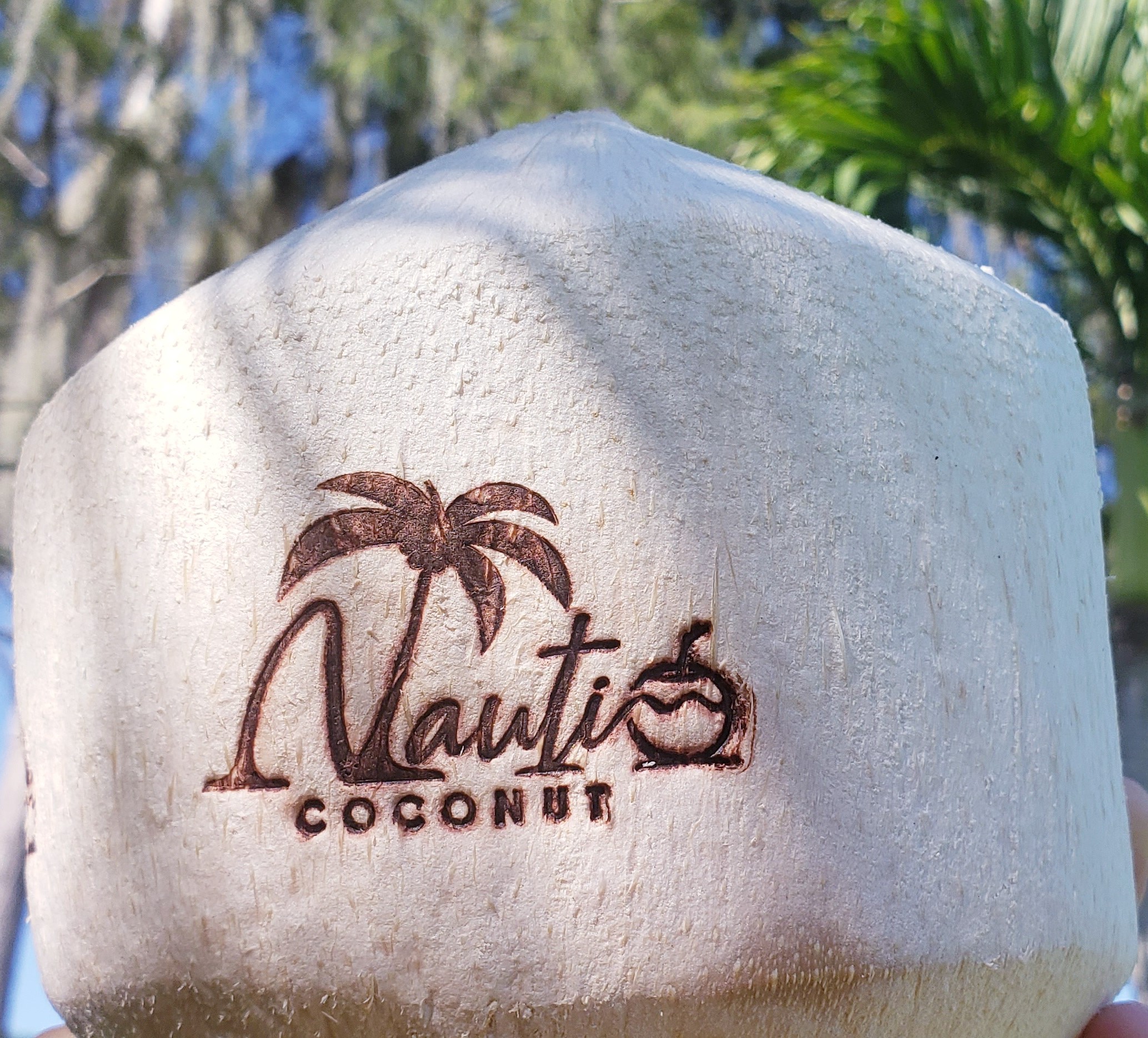 nauti coconut with logo