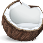 coconut drawing
